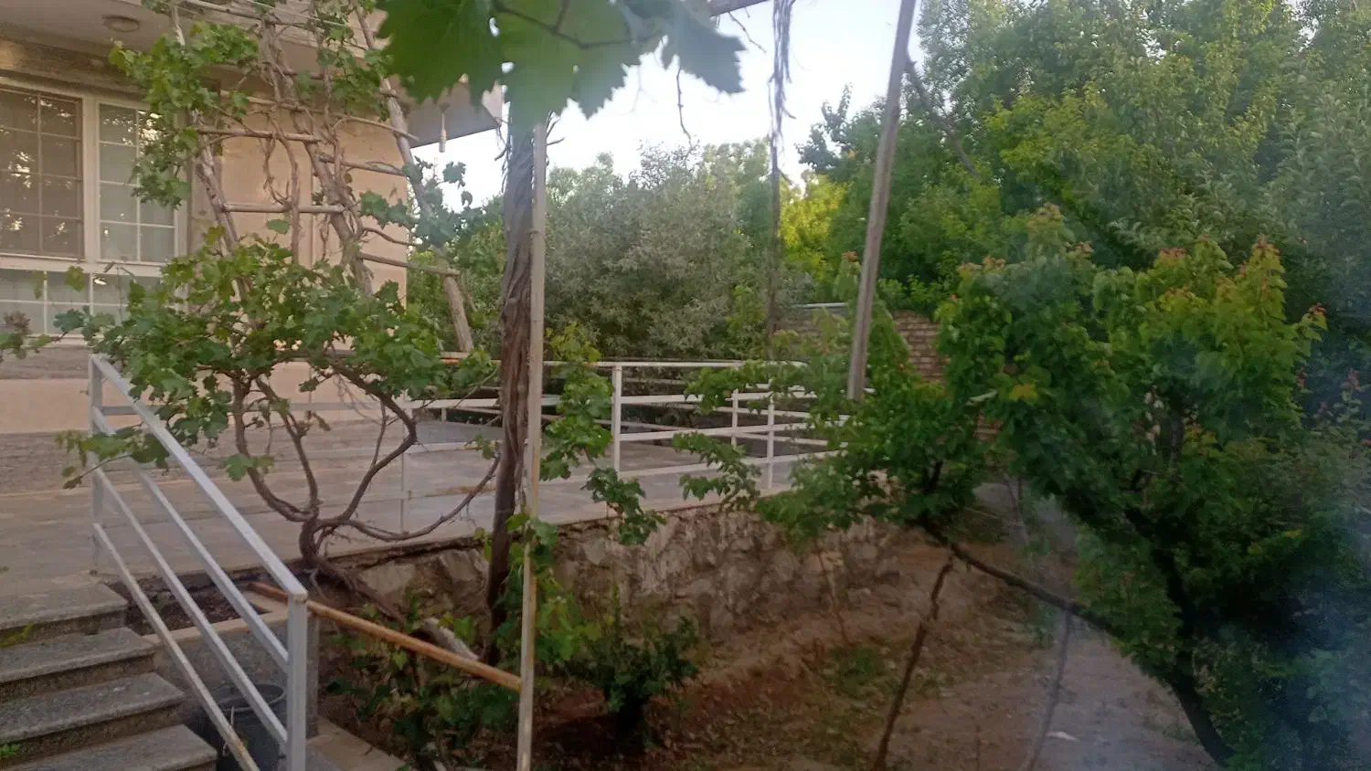 تصویر 5