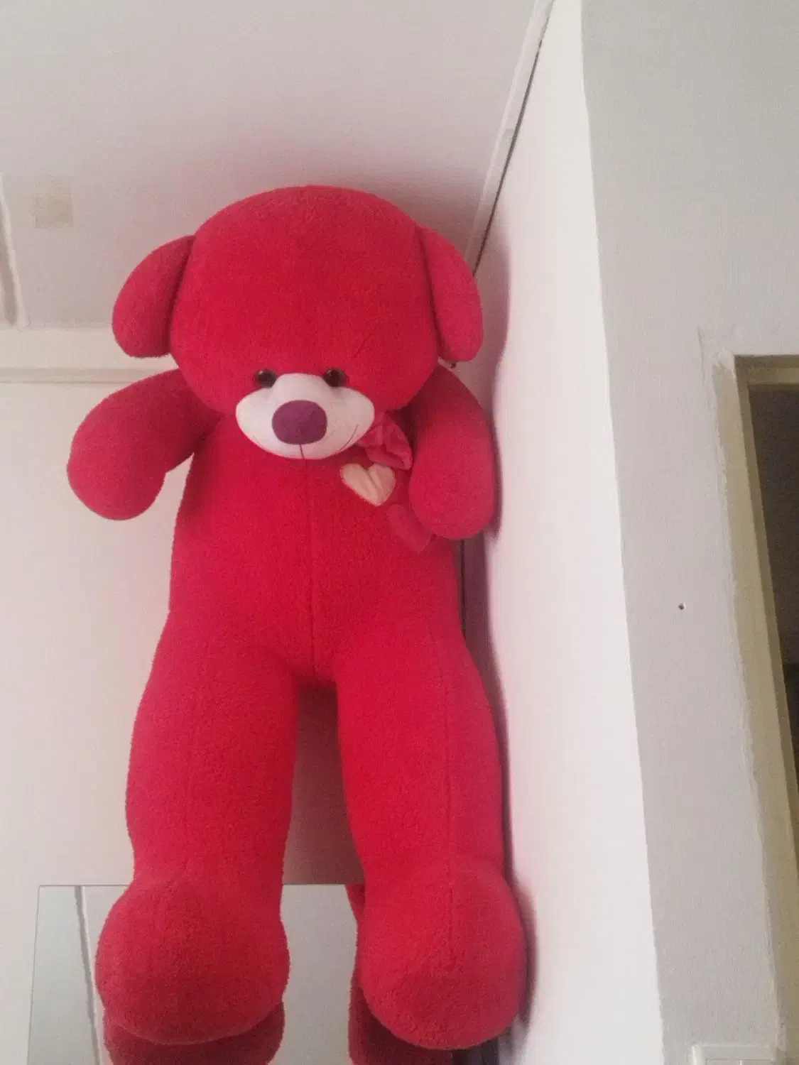 خرس ولنتاین|اسباب‌‌بازی|سهند, |دیوار