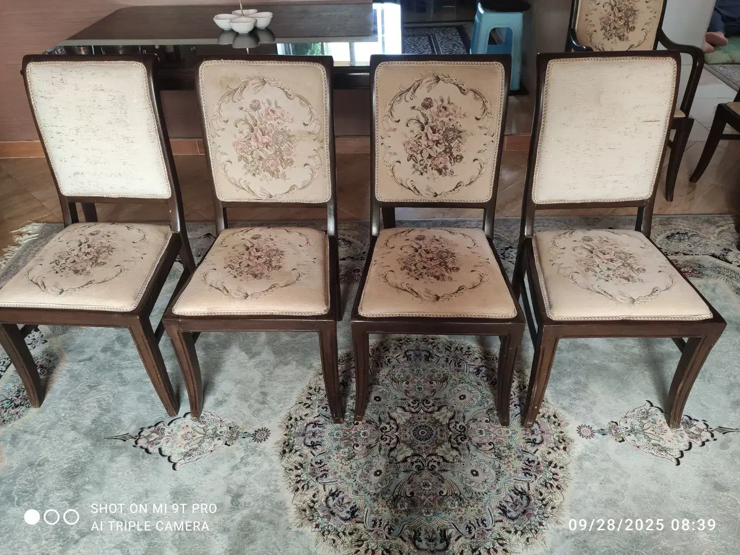 مبل و میز ناهارخوری|مبلمان خانگی و میز عسلی|چالوس, |دیوار