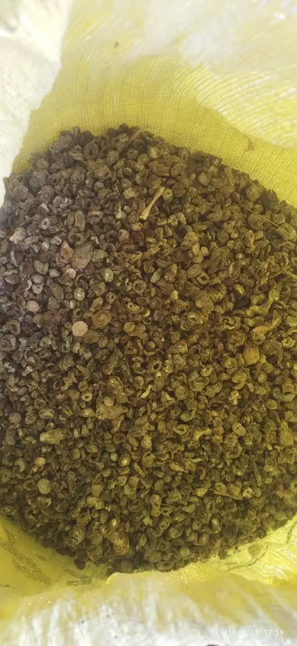 کود کبوتر وحشی|خدمات باغبانی و درختکاری|بروجرد, |دیوار