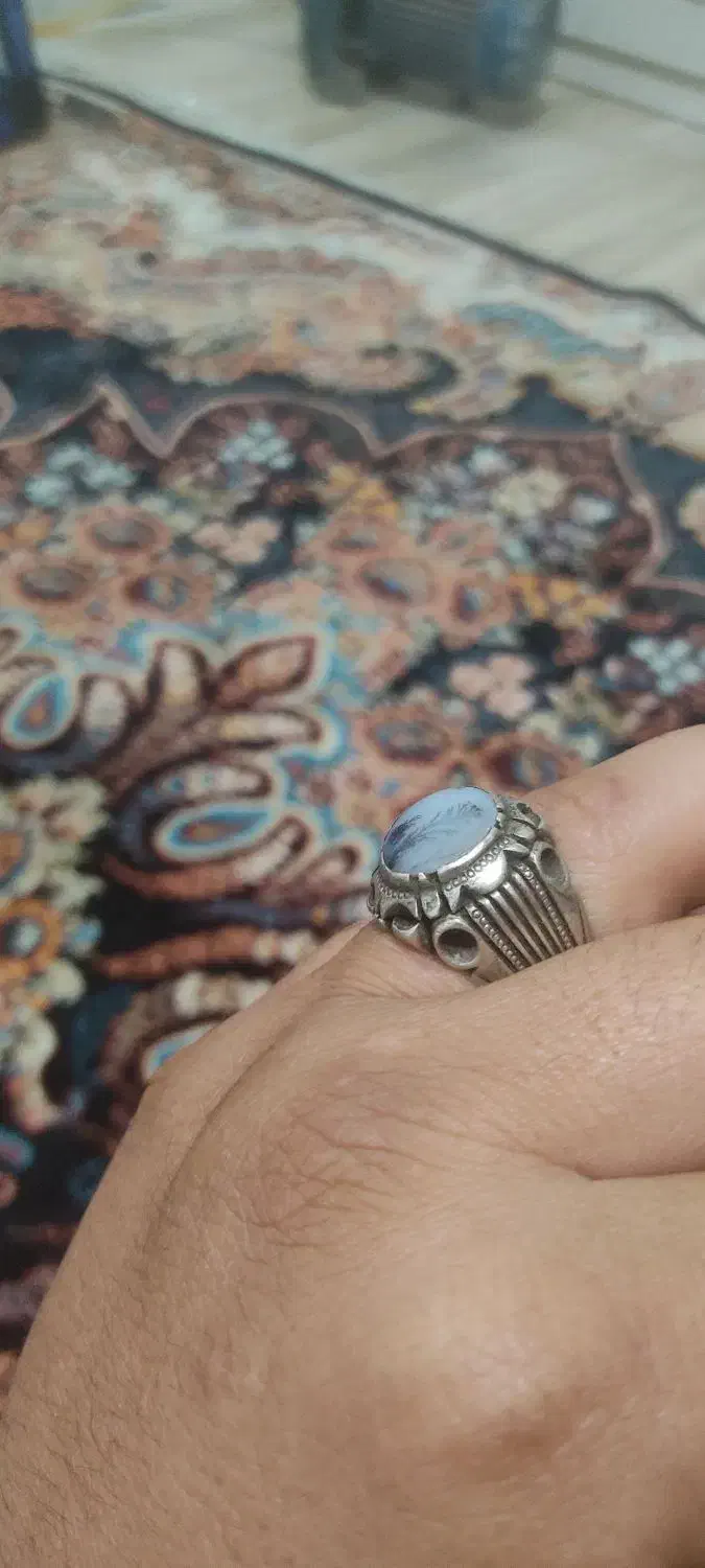 کفتر طوقی|زیورآلات و اکسسوری|شهریار, شهرک بهاران (ویره)|دیوار