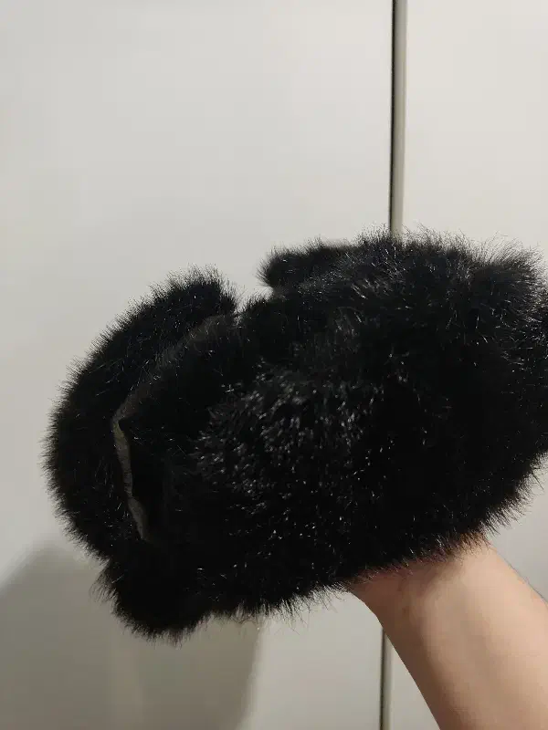 کلاه مو، موی حیوان|لباس|مهاباد (آذربایجان غربی), |دیوار