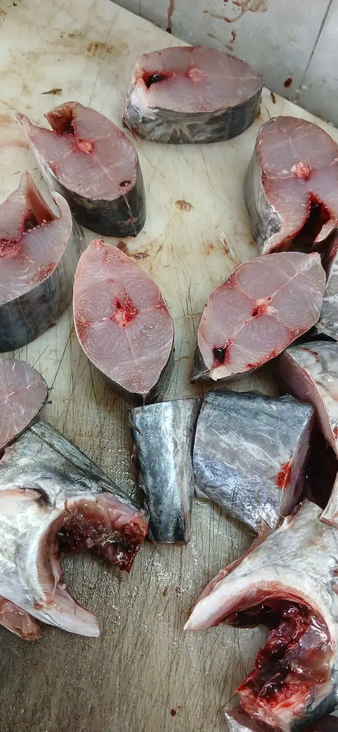 ماهی تازه|ماهی|جهرم, |دیوار