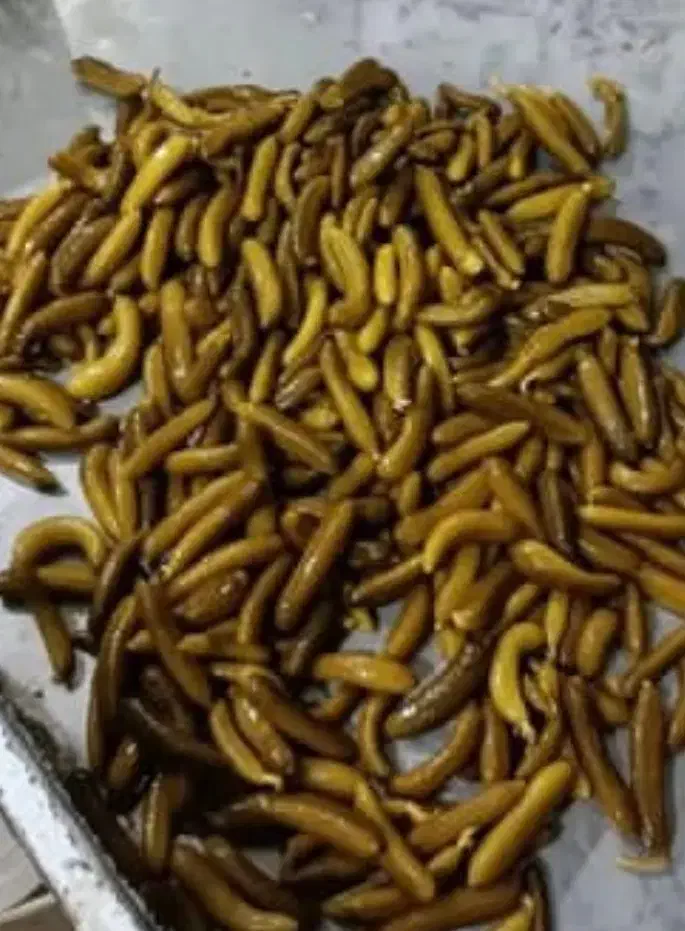 شوریجات وترشبجات|خوردنی و آشامیدنی|تهران, سجاد|دیوار