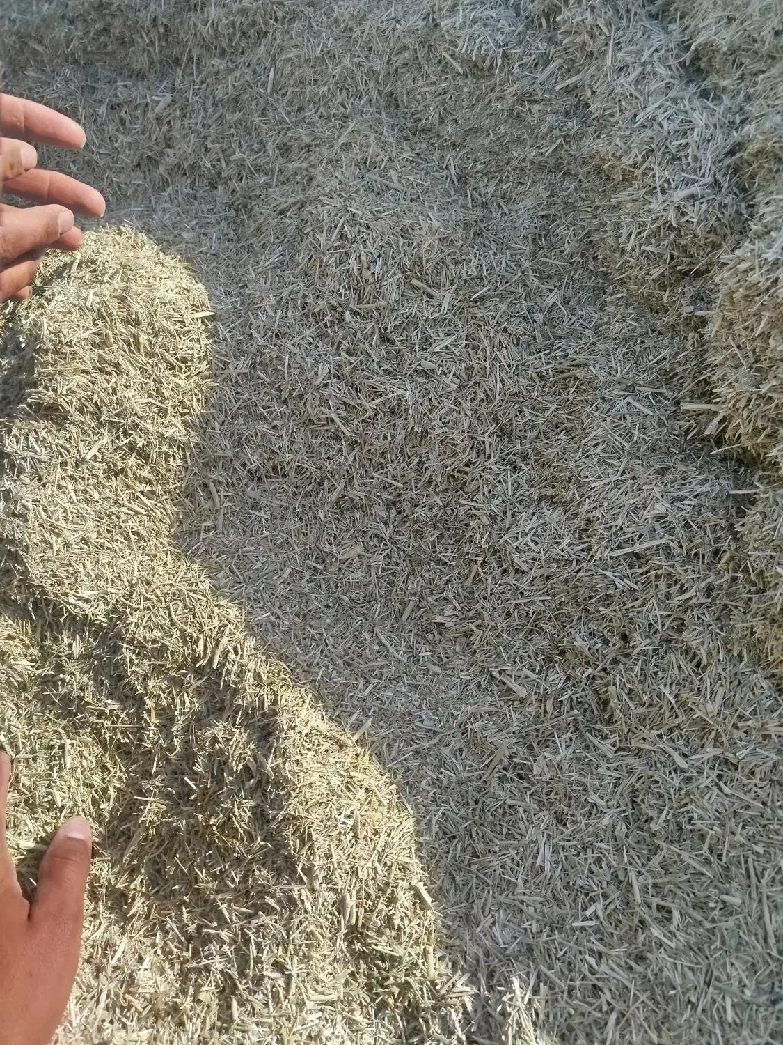 خار وصلمه|لوازم جانبی حیوانات|سبزوار, رباط|دیوار