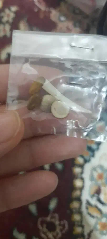 سنگ کلکسیونی|کلکسیون اشیاء عتیقه|زابل, |دیوار