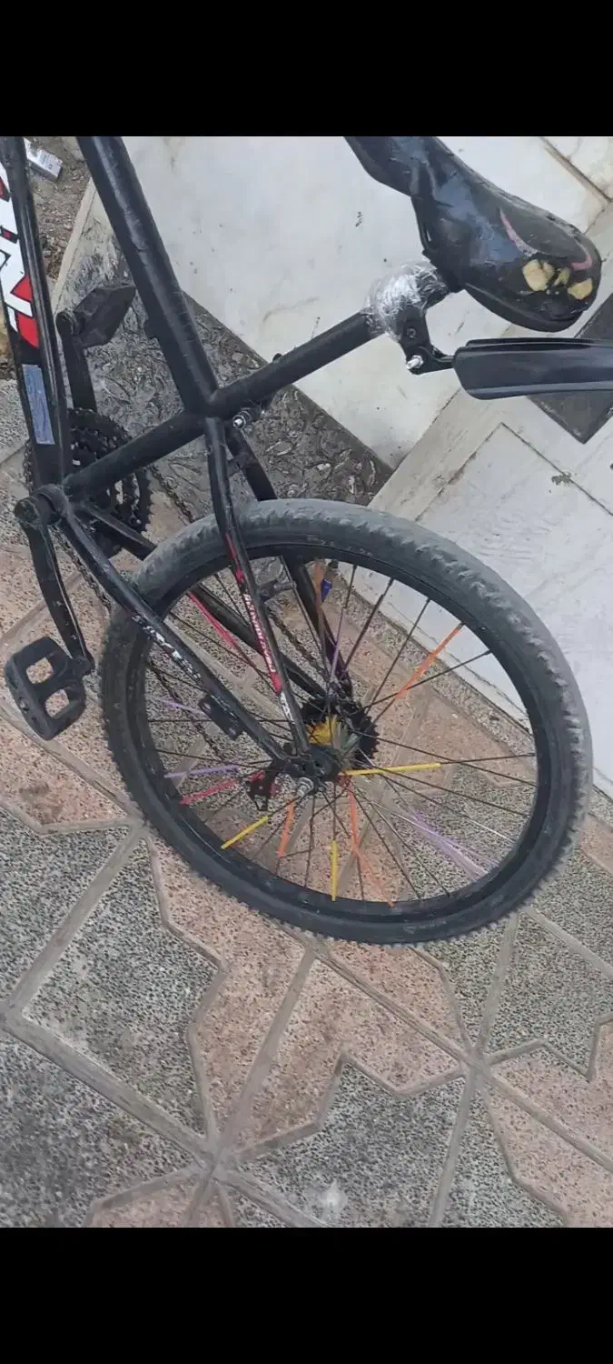 ۲۴ دوچرخه|دوچرخه، اسکیت، اسکوتر|یزد, |دیوار