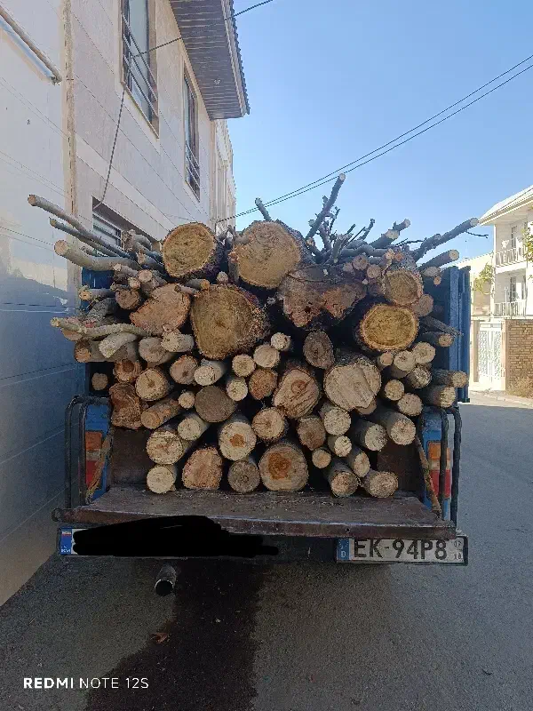 چوب درختان|گل و گیاه طبیعی|بروجرد, |دیوار