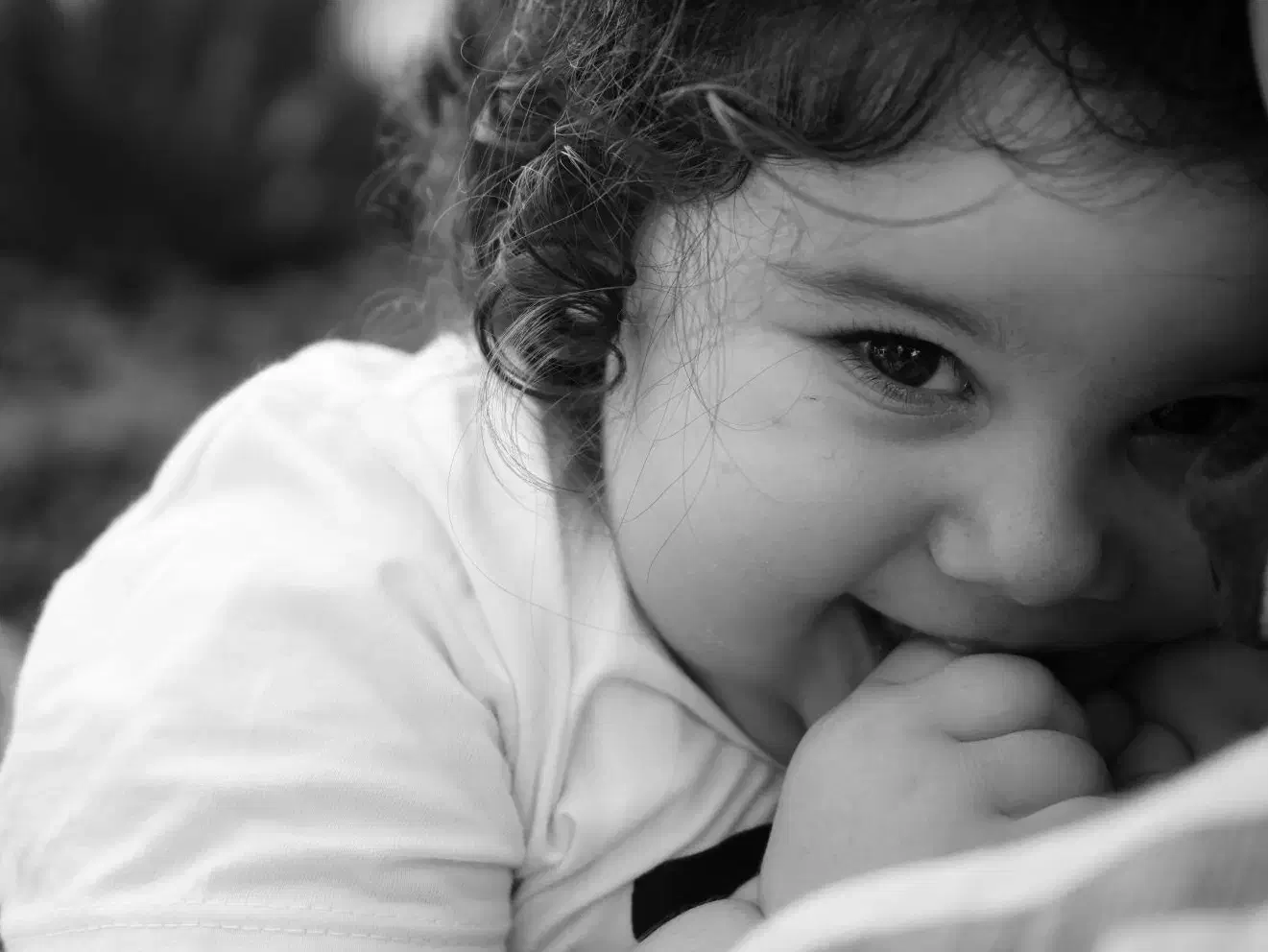 عکاسی و فیلم برداری در جزیره کیش|خدمات پذیرایی، مراسم|کیش, |دیوار