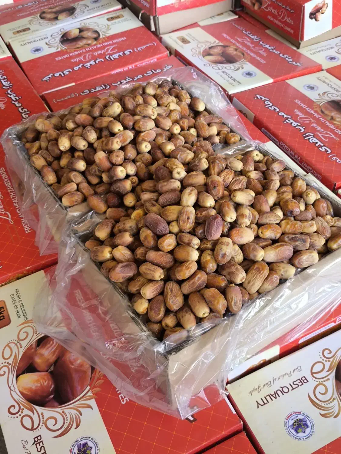 خرمای زاهدی قیمت توافقی|خوردنی و آشامیدنی|فراشبند, |دیوار