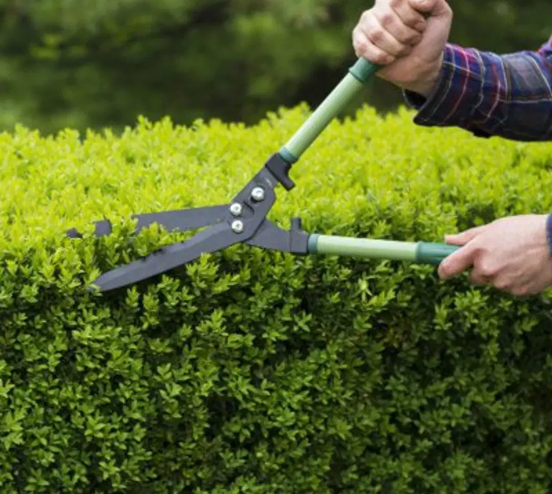 باغبانی و درختکاری|خدمات باغبانی و درختکاری|سنندج, |دیوار