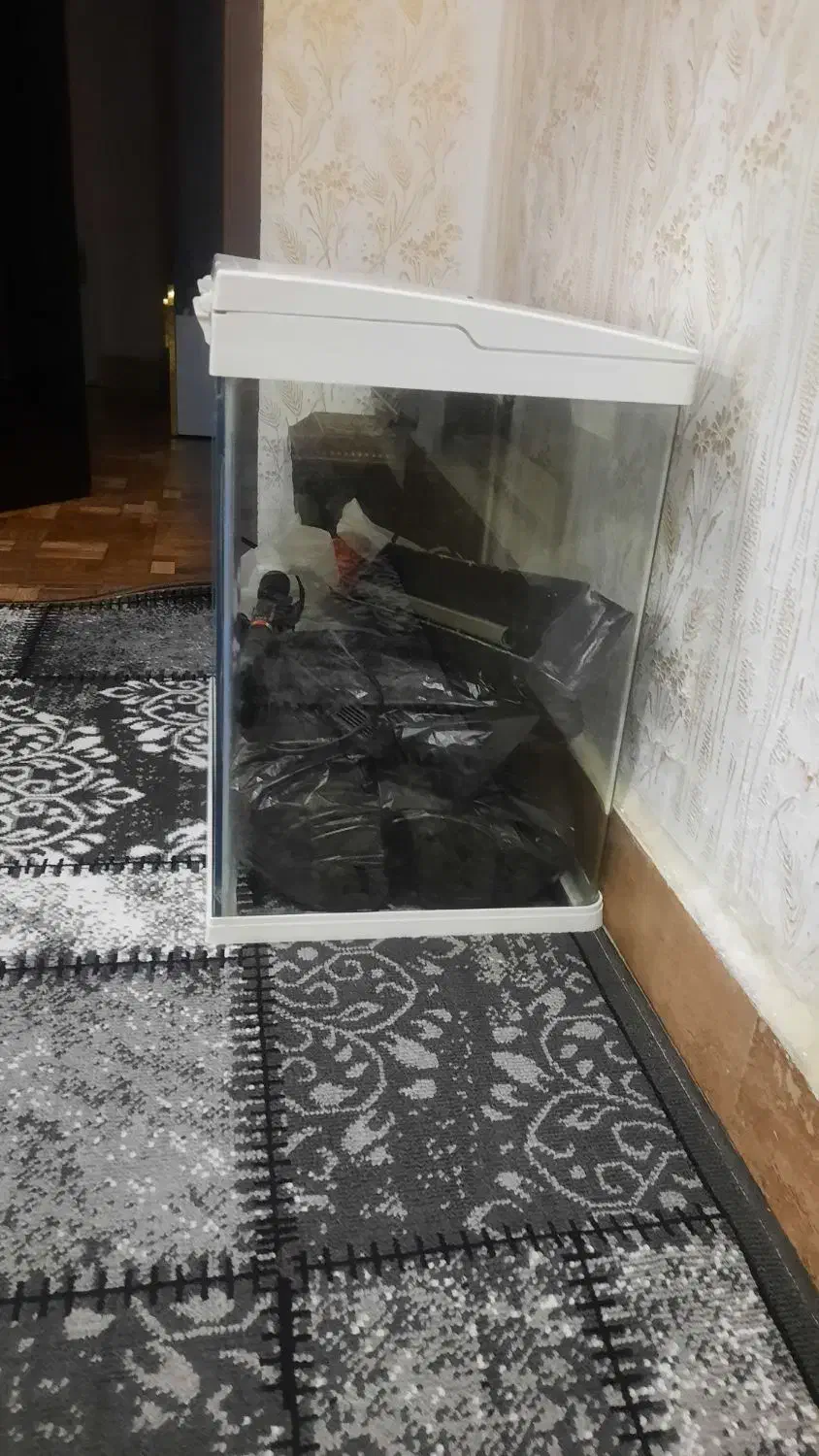 اکواریوم  شرکتی با تمامی تجهیزات|ماهی|رشت, فلسطین|دیوار