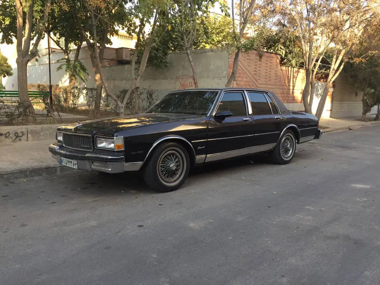 اجاره اتومبیل ماشین کلاسیک|خودرو اجارهای|شیراز, ارم|دیوار