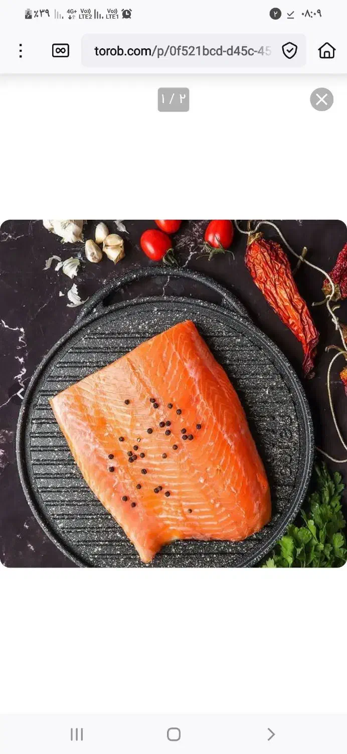 ماهی سالمون|ماهی|گناباد, |دیوار