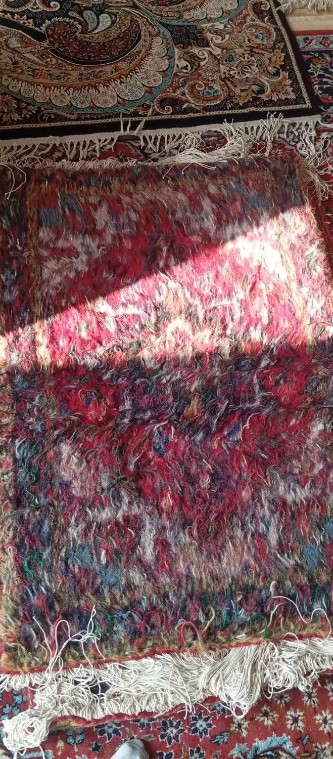 فرش هریس|فرش|تبریز, |دیوار