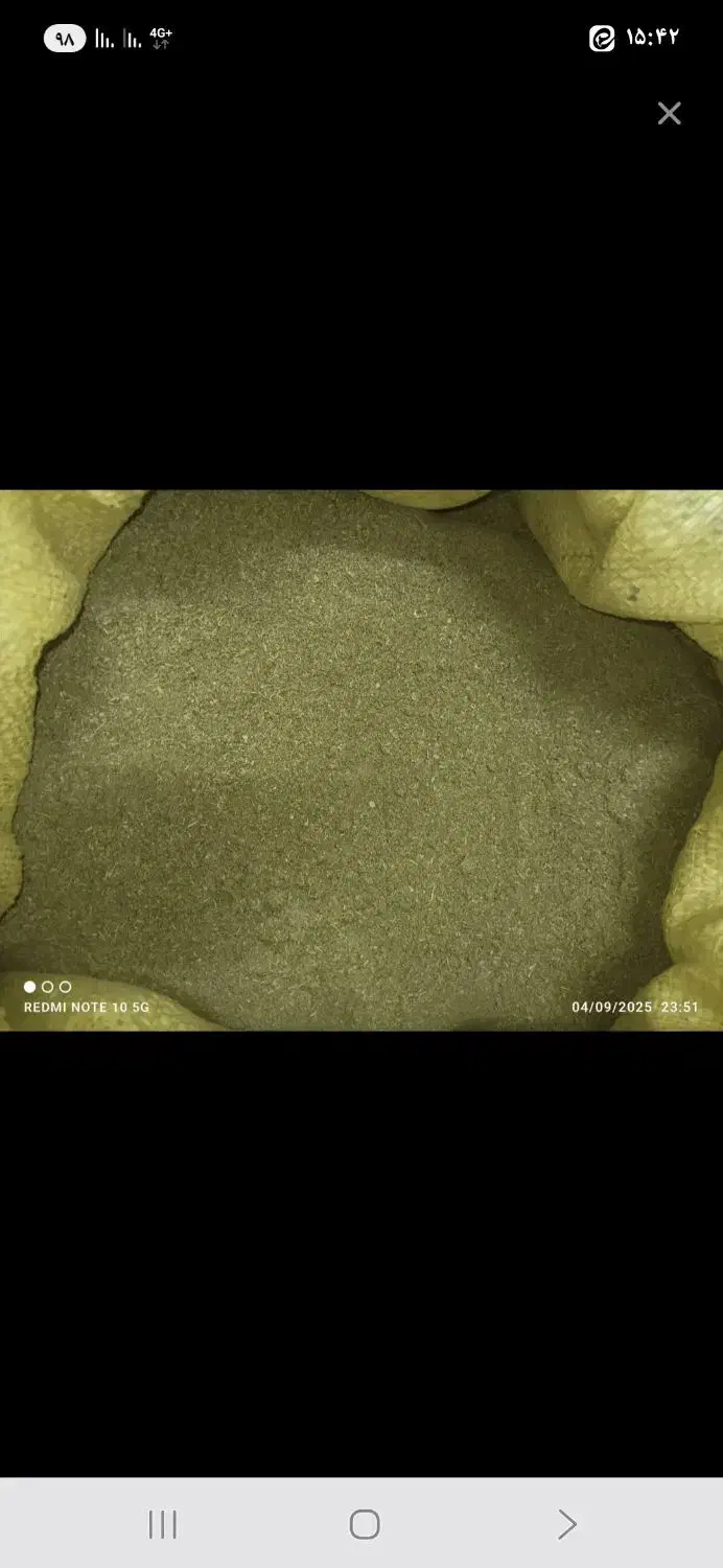 گلپر آسیاب شده بارامثال درجه یک|خوردنی و آشامیدنی|الیگودرز, |دیوار