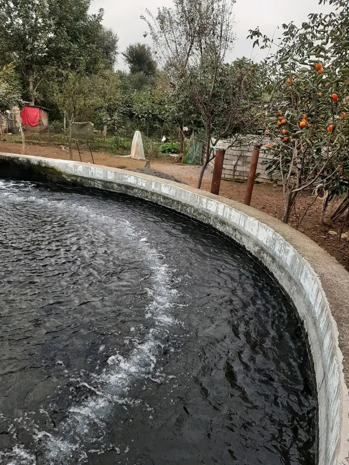 فروش ملک استخر ماهی|فروش دفتر صنعتی، کشاورزی، تجاری|تالش, هشتپر|دیوار