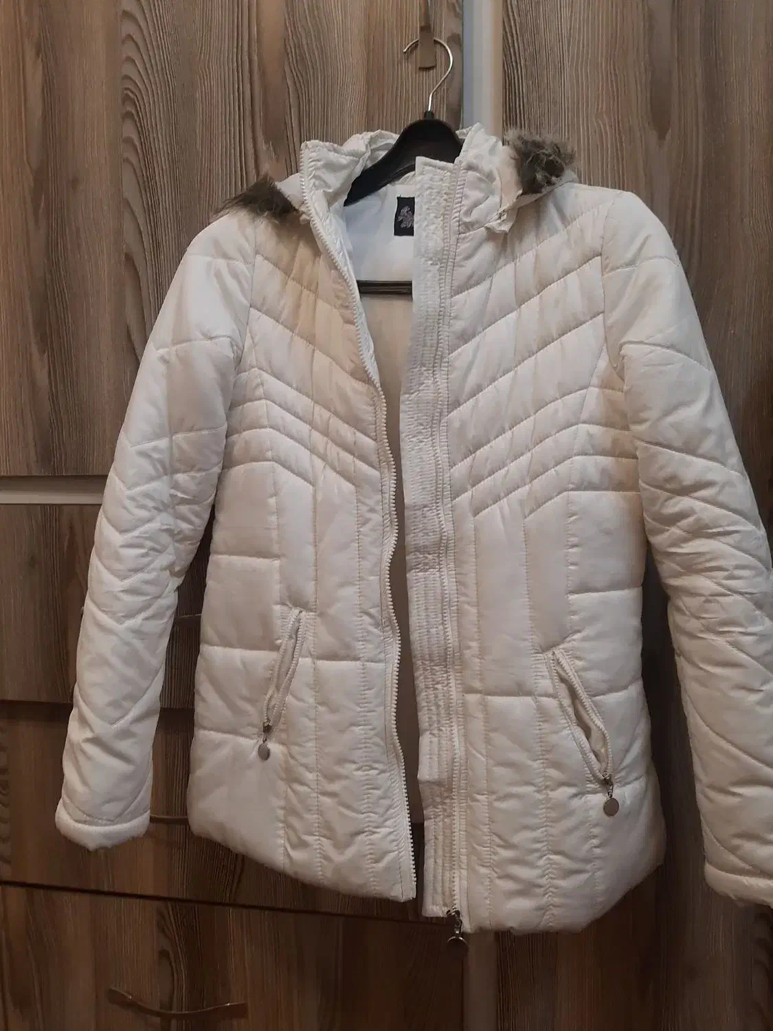 کاپشن|لباس|شیراز, باغ تخت|دیوار