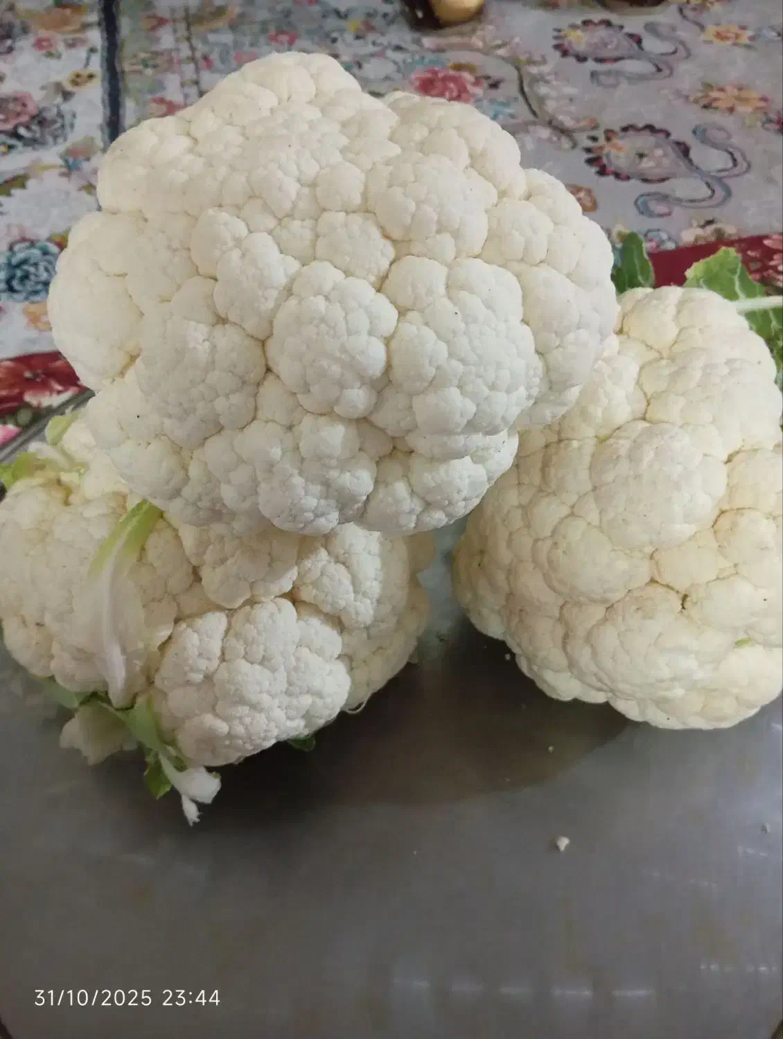 گلی کلم|خوردنی و آشامیدنی|رباطکریم, رباطکریم|دیوار