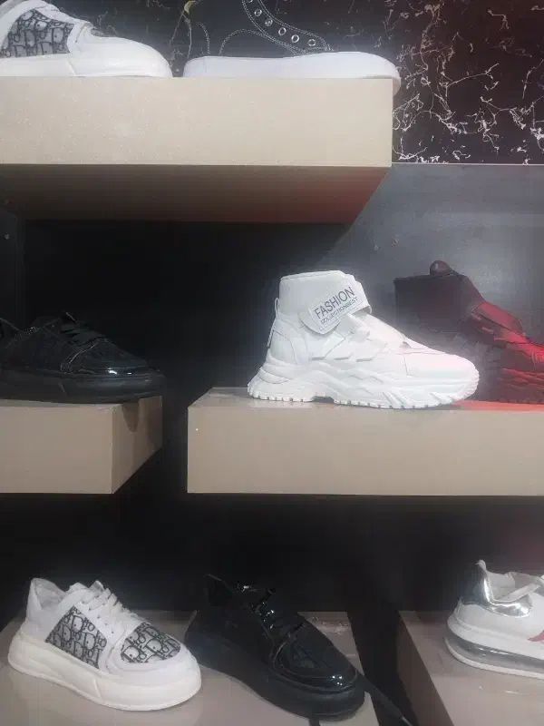 کفش زنانه و مردانه|کیف، کفش، کمربند|شوشتر, |دیوار