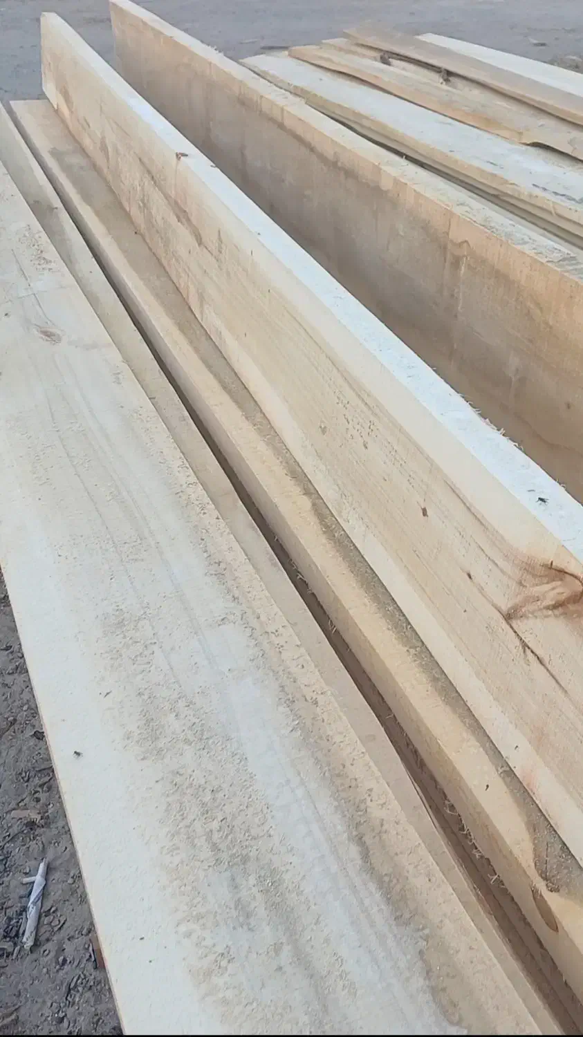 تخته بنایی چوب صنوبر و روسی|عمدهفروشی|قم, قلعه صدری|دیوار