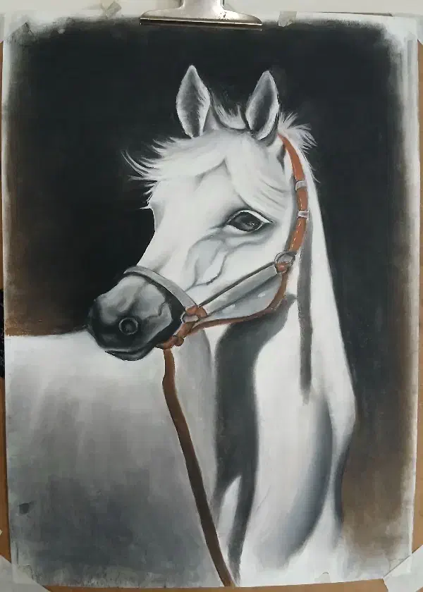 نقاشی پاستل|تابلو، نقاشی، عکس|مشهد, کارمندان دوم|دیوار