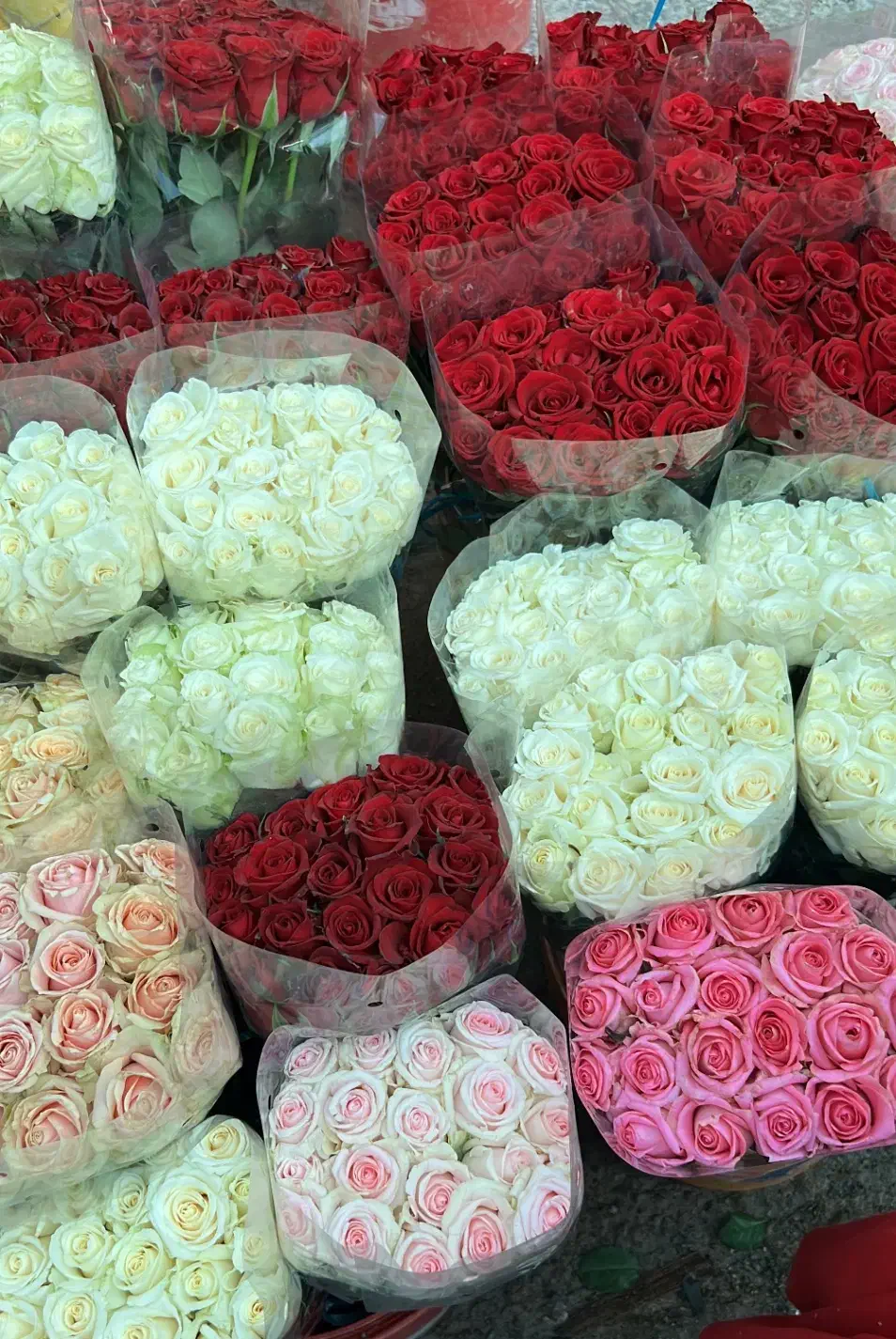 استخدام گل آرا|استخدام هنری و رسانه|ری, بازار گل خاوران|دیوار