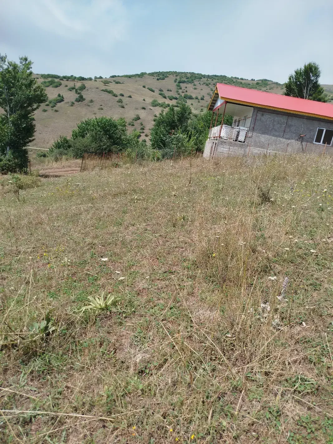 فروش زمین درروستای گرزنچاک مجاورداماش|فروش زمین و ملک کلنگی|جیرنده, |دیوار