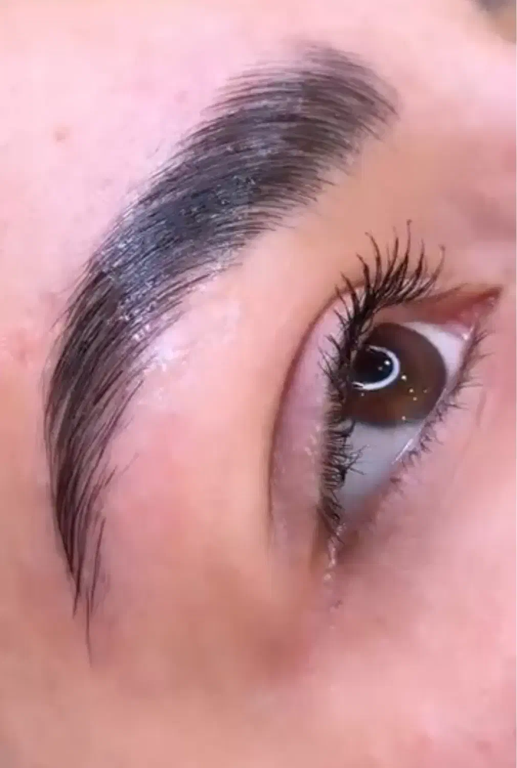 لیفت مژه و ابرو و تقویت مژه ابرو|خدمات آرایشگری و زیبایی|شیراز, کوی زهرا|دیوار