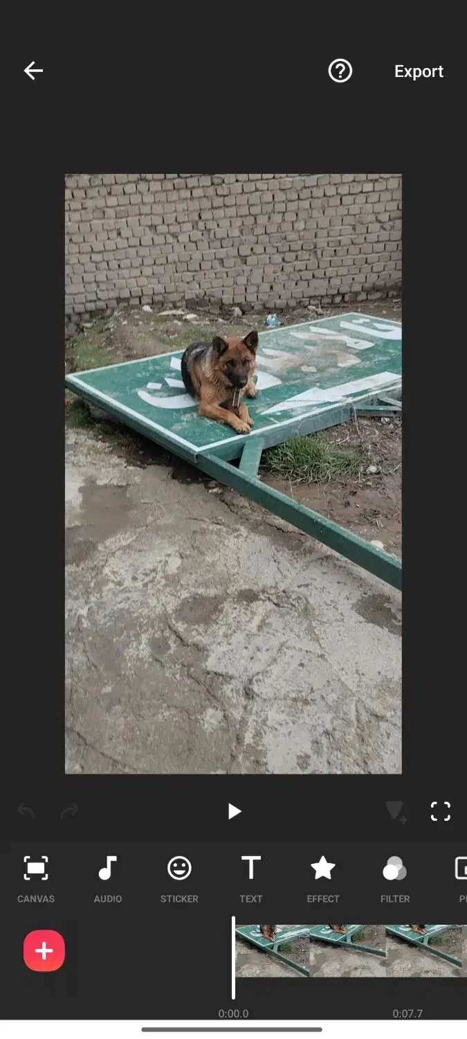 سگ گمشده ژرمن|حیوانات|دورود, |دیوار