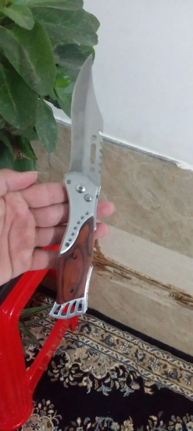 چاقو ضامن دار|کوهنوردی و کمپینگ|شاهرود, |دیوار