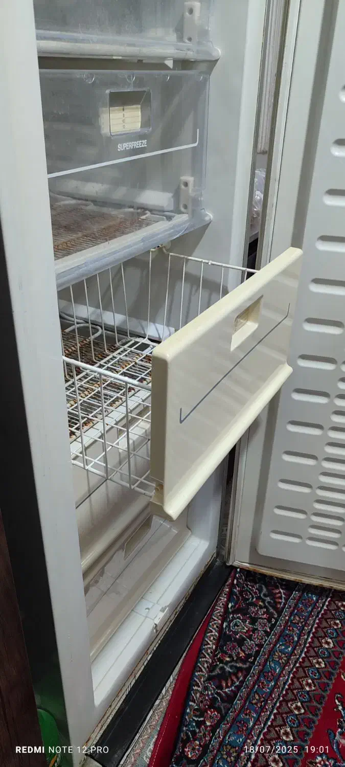فریزر تک فیلور|یخچال و فریزر|تربت جام, یحیی آباد|دیوار