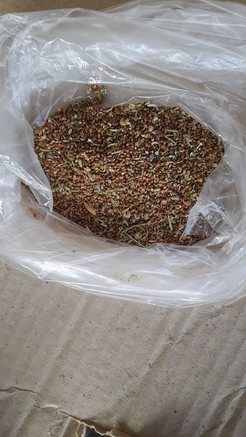 بذر یونجه|خدمات باغبانی و درختکاری|نهاوند, |دیوار