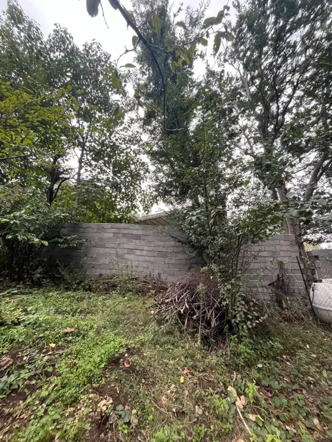 فروش زمین ۳۶۵ متر|فروش زمین و ملک کلنگی|توتکابن, |دیوار