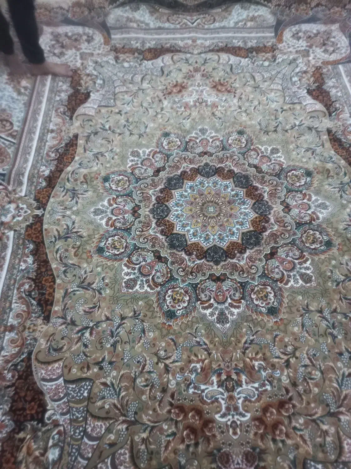 فرش سالم|فرش|تاکستان, |دیوار