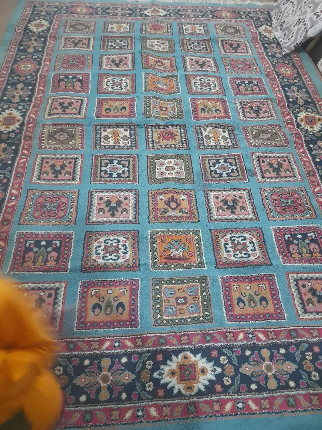 فرش|فرش|زاهدان, |دیوار