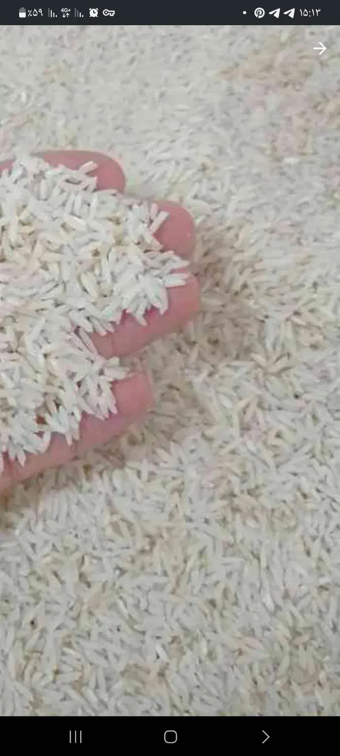 برنج طارم بهنام کشت دوم|خوردنی و آشامیدنی|بابل, |دیوار