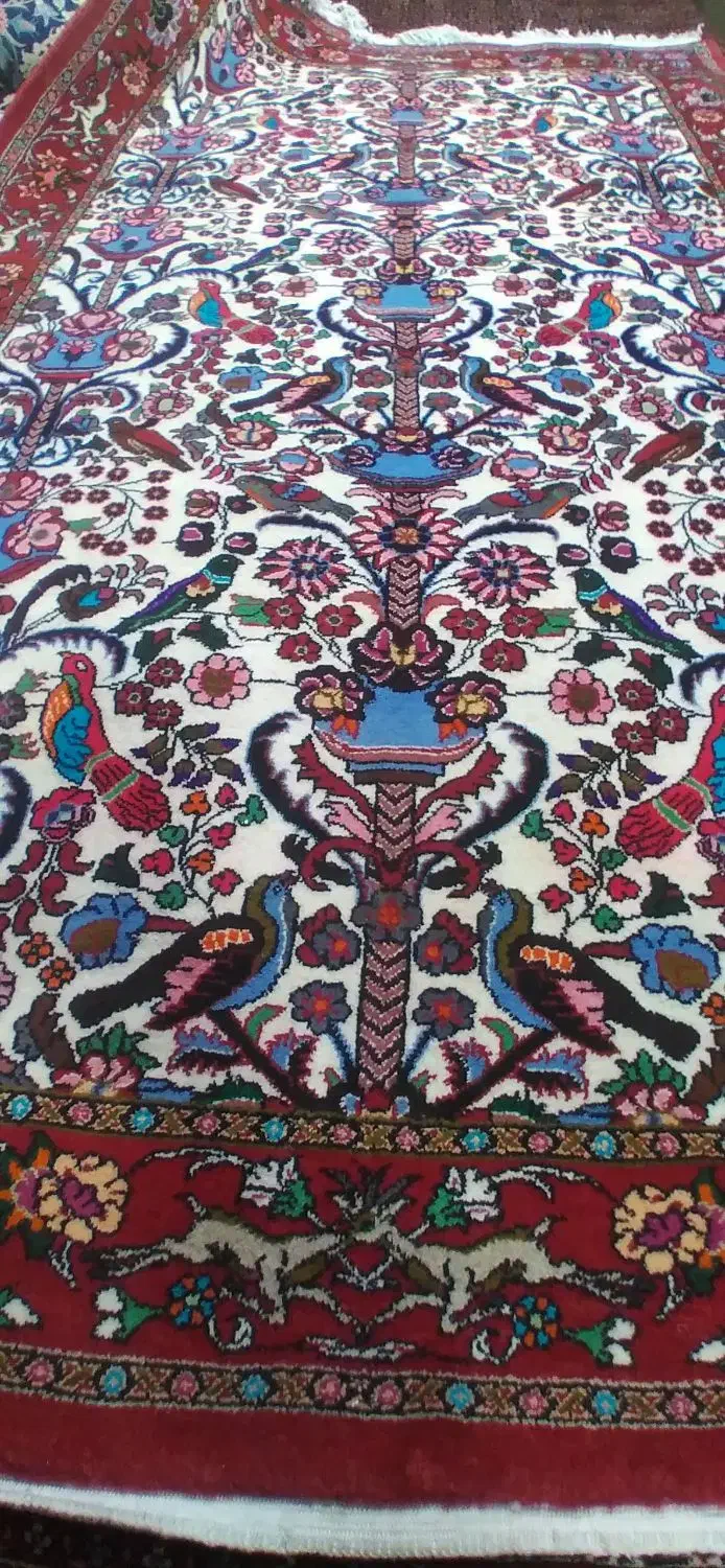 قالیچه زنجان|فرش|میانه, |دیوار