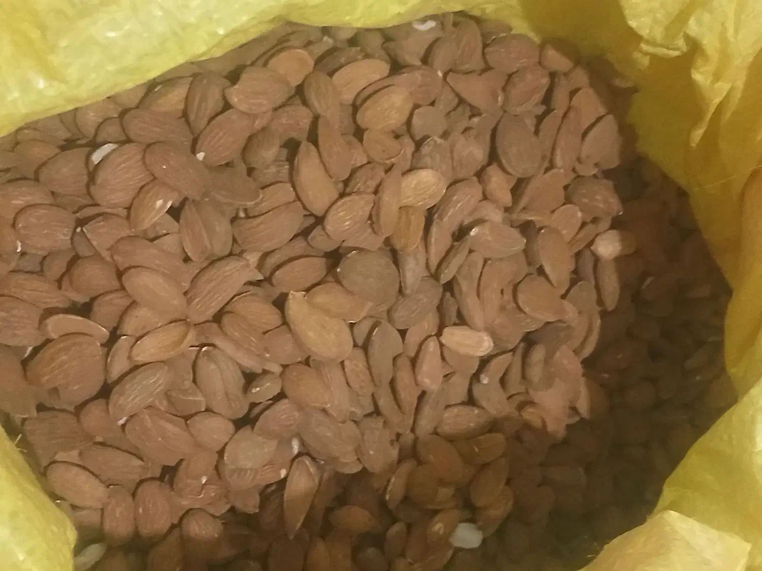 بادام|خوردنی و آشامیدنی|تهران, خانی آباد نو جنوبی|دیوار