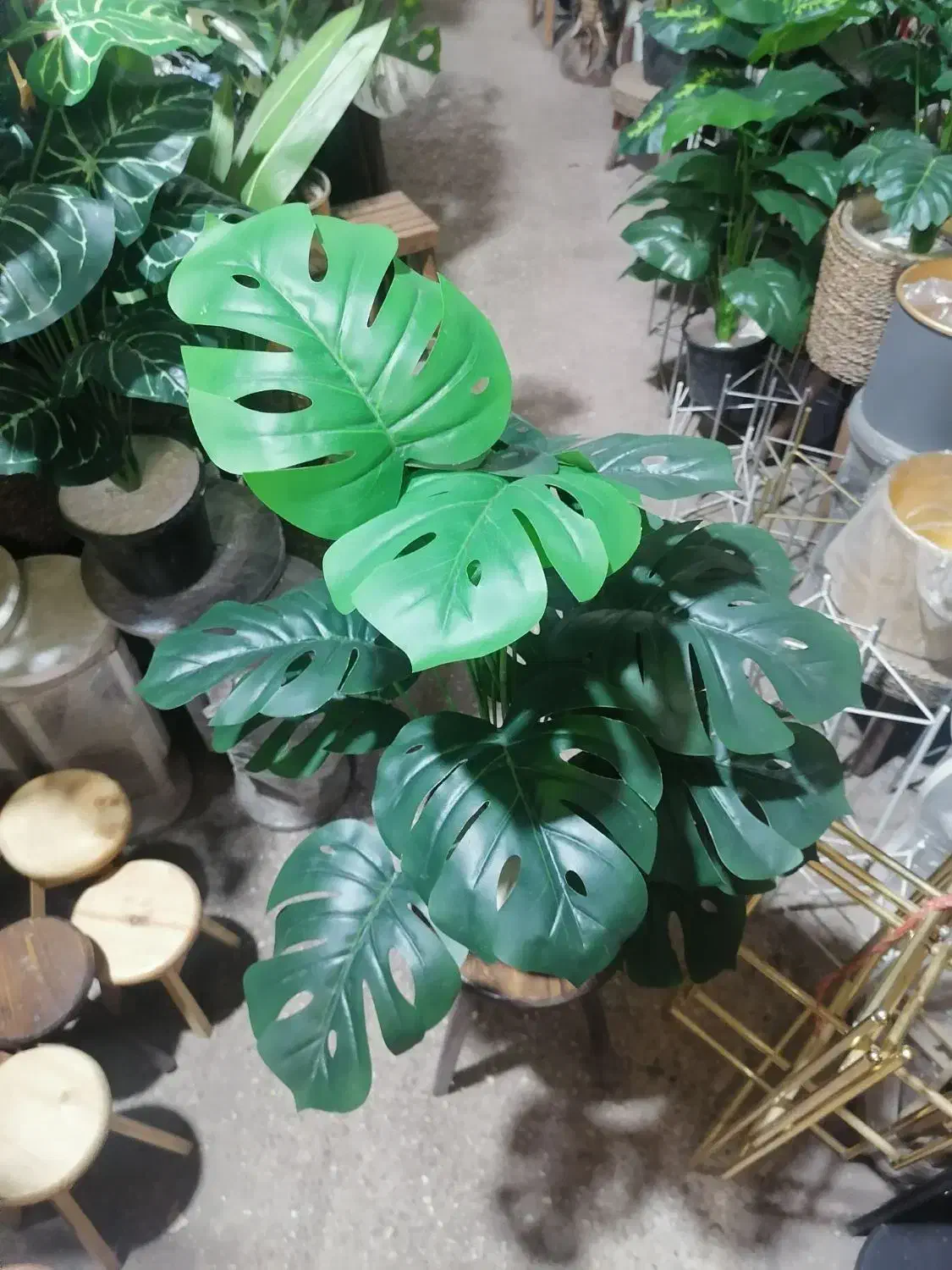 انواع گل مصنوعی|گل مصنوعی|شیراز, شهرک سعدی|دیوار