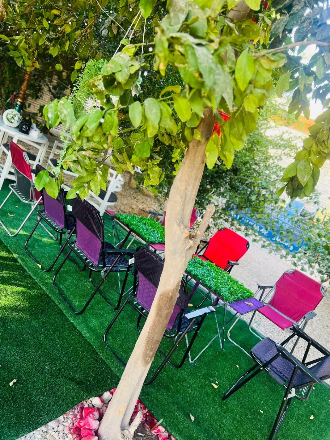 باغ پذیرایی|اجارهٔ کوتاه‌مدت ویلا و باغ|بندر گناوه, |دیوار