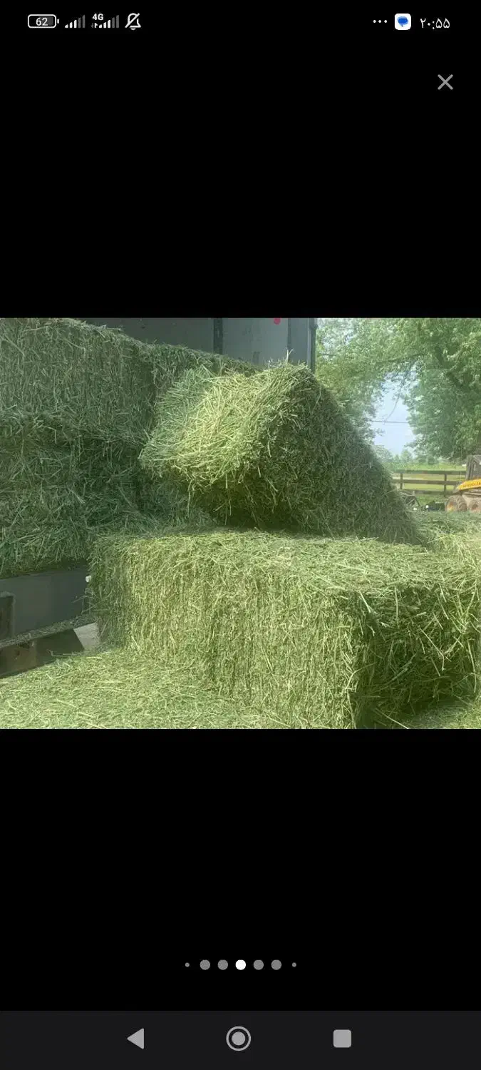 اجاره زمین کشاورزی|اجارهٔ دفتر صنعتی، کشاورزی، تجاری|نورآباد ممسنی, |دیوار