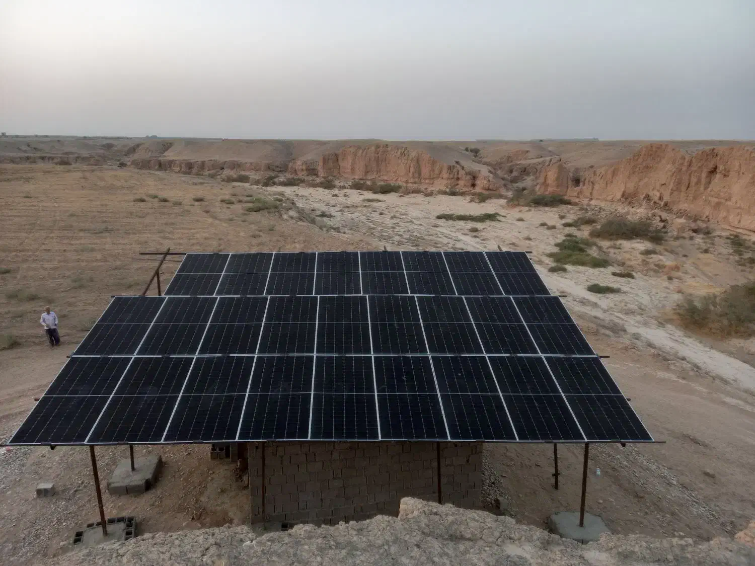 اجاره زمین کشاورزی  ۷ هکتار|اجارهٔ دفتر صنعتی، کشاورزی، تجاری|برازجان, |دیوار