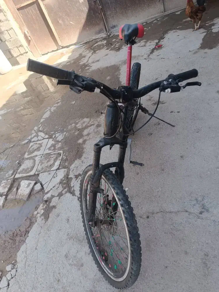 دوچرخه ۲عدد|حراج|اهواز, اهواز|دیوار