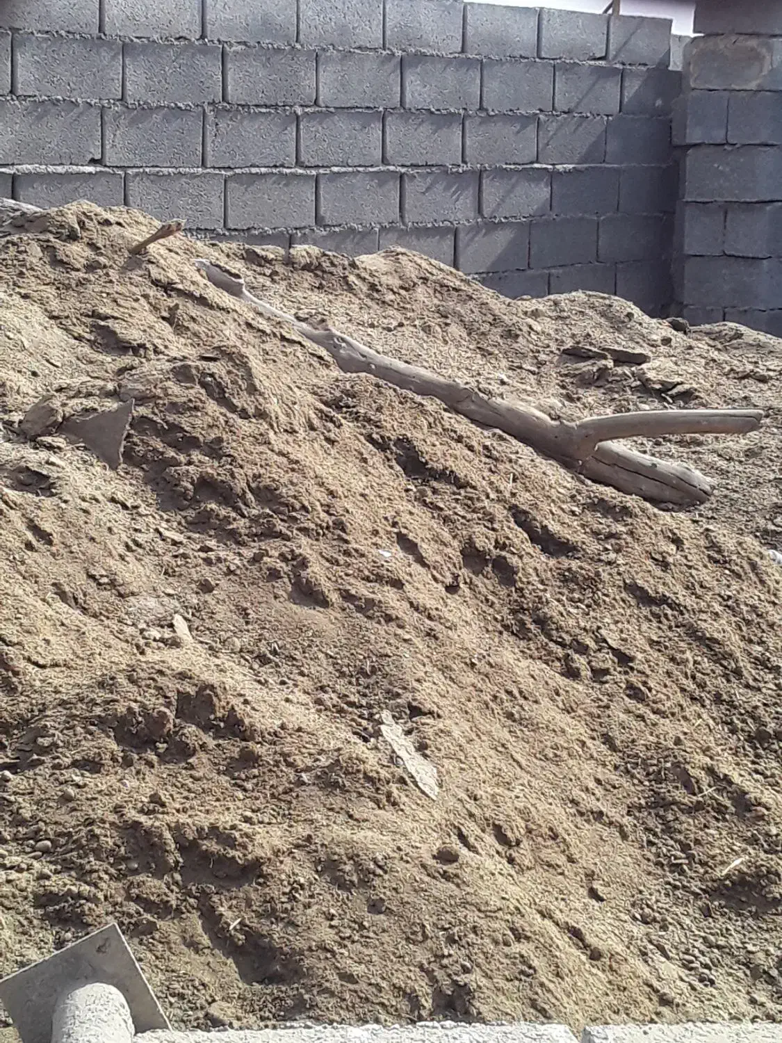 کود حیوانی|خدمات باغبانی و درختکاری|بندرعباس, |دیوار