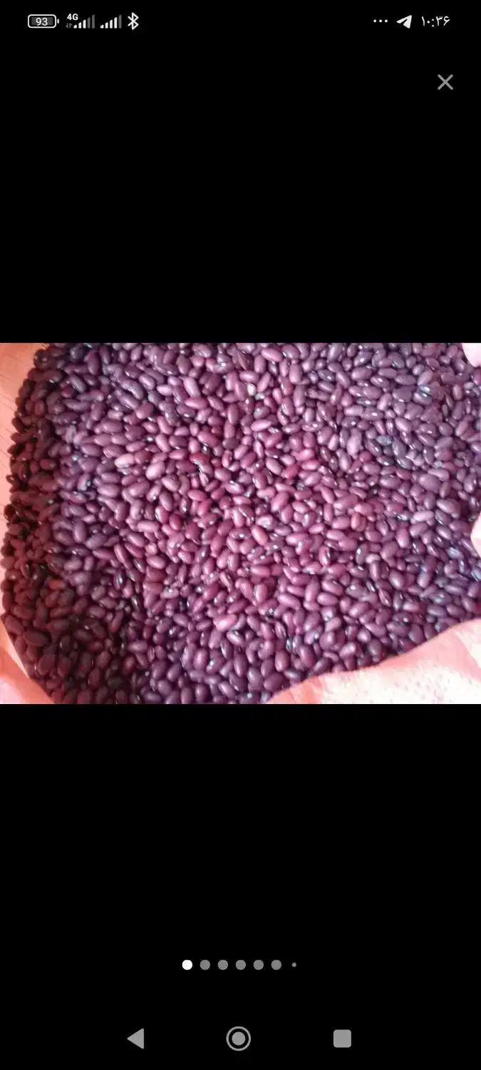 عمده فروشی لوبیا|خوردنی و آشامیدنی|دوتپه, |دیوار