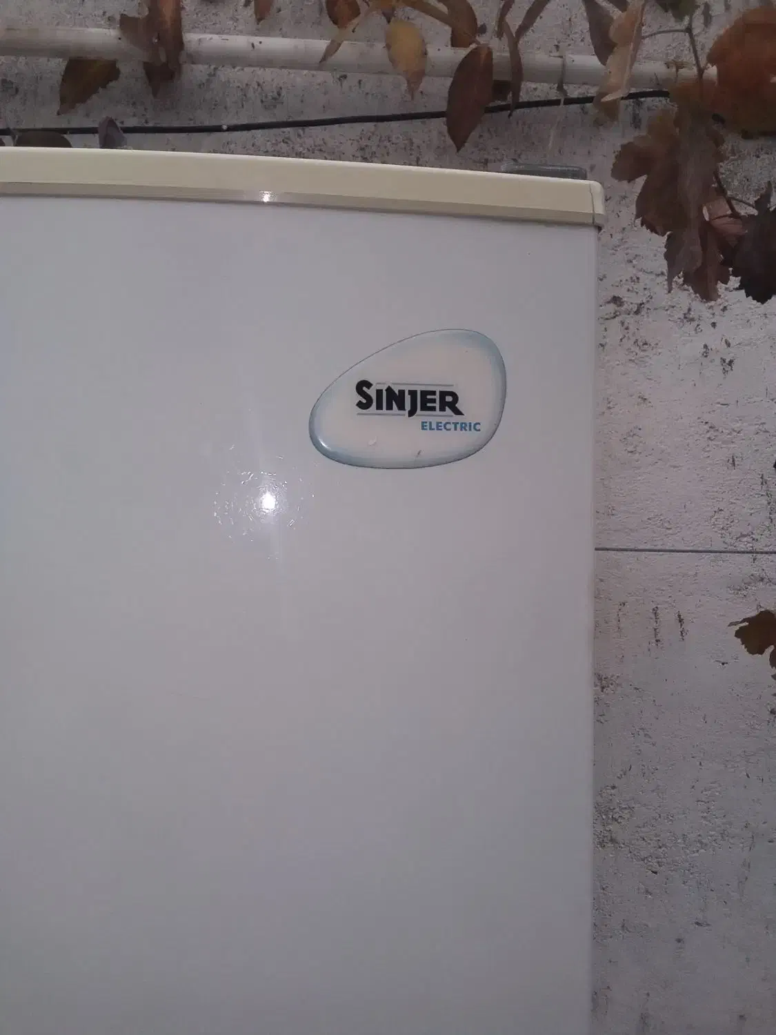 فروش یخچال سالم|یخچال و فریزر|قیدار, |دیوار