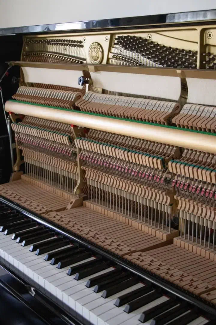 موجودی. برندهای جهان قسطهای بدون درصدیاماهاروزنبرگ|پیانو، کیبورد، آکاردئون|اصفهان, باغ نگاره|دیوار