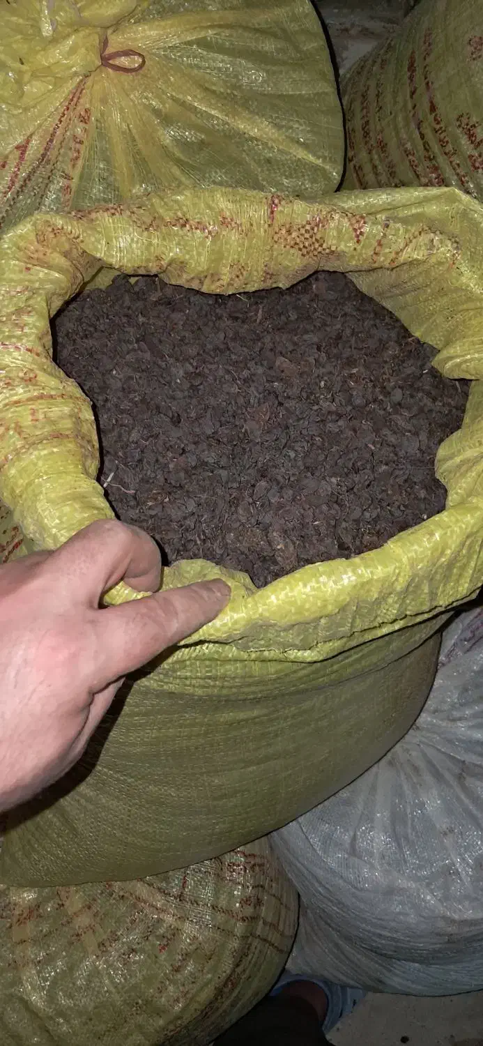 مویز کشمش|خوردنی و آشامیدنی|بیضا, |دیوار