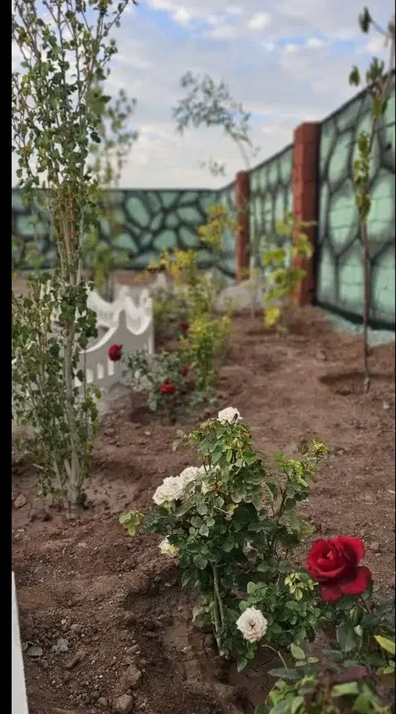 باغچه 182متری چار دیواری در مجموعه|فروش زمین و ملک کلنگی|شهریار, اصیل آباد|دیوار